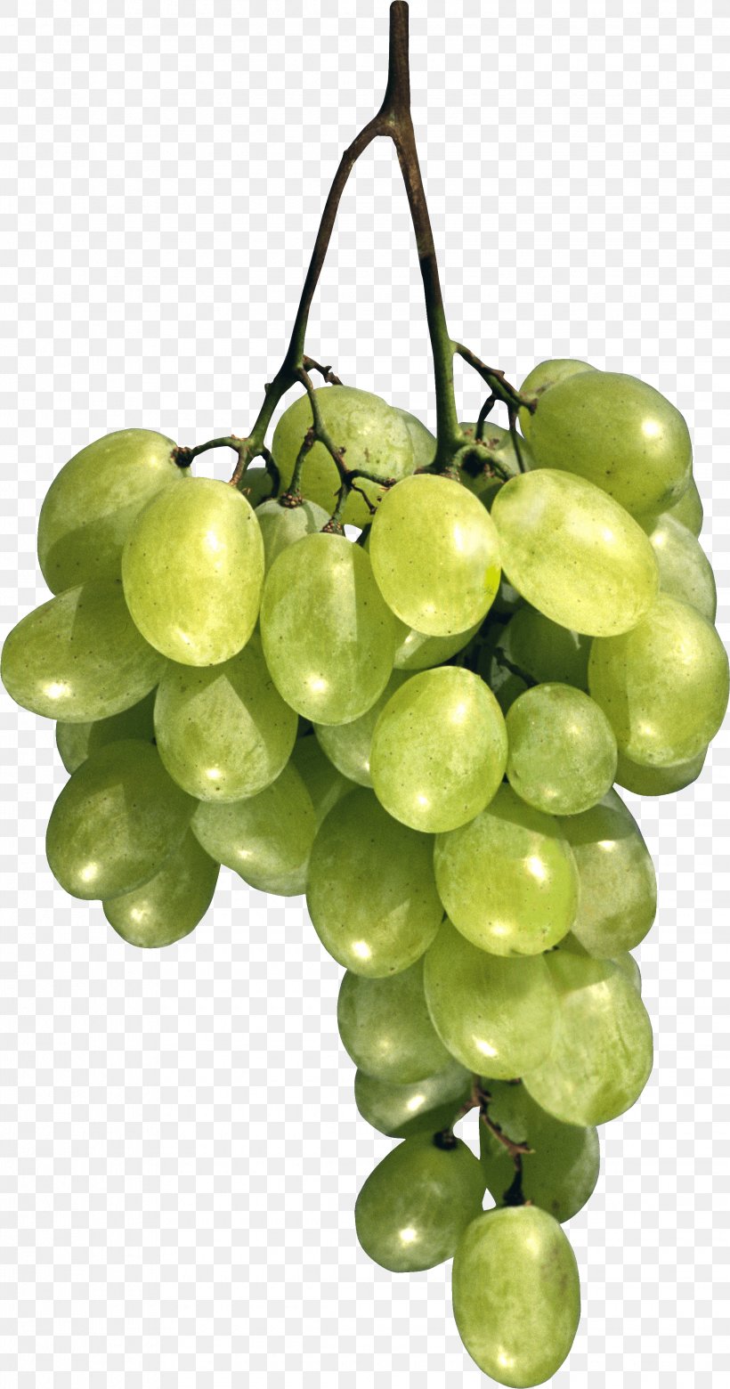 Common Grape Vine Moscow Cafe Breakfast, PNG, 2265x4311px, 3d Computer Graphics, Gelatin Dessert, Flowering Plant, Food, Fruit Download Free