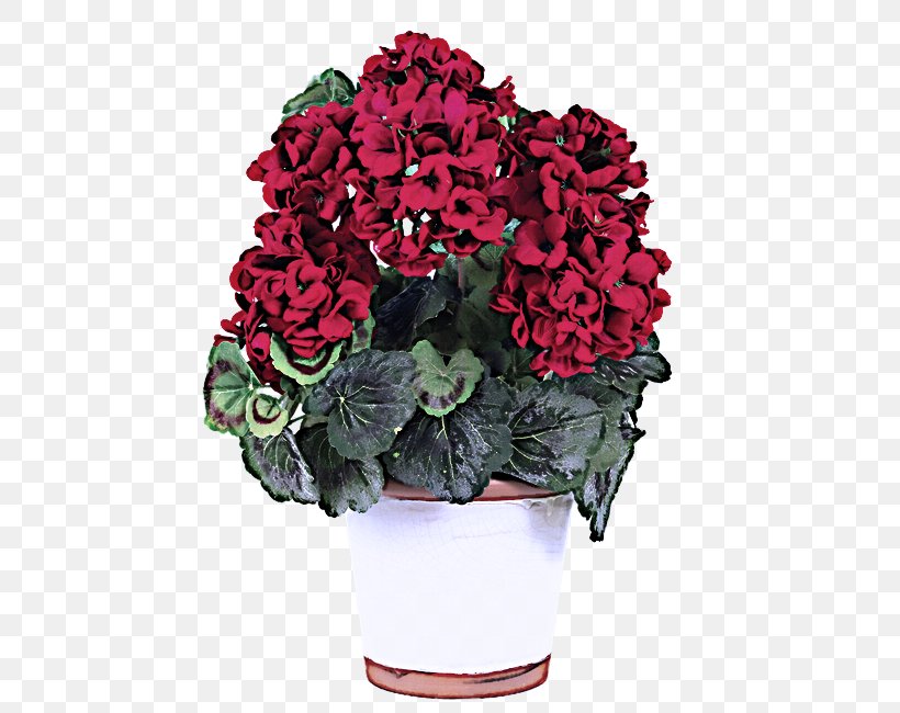 Flower Plant Flowerpot Red Flowering Plant, PNG, 650x650px, Flower, Cut Flowers, Flowering Plant, Flowerpot, Hydrangea Download Free