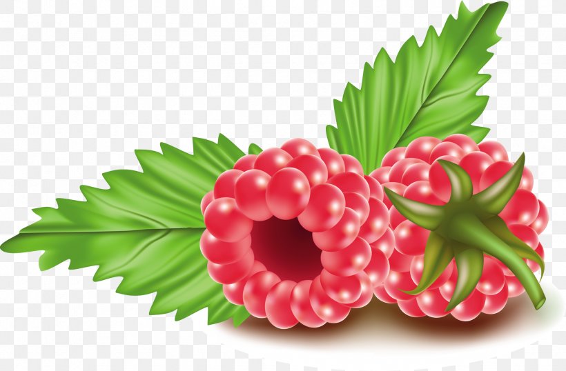 Frutti Di Bosco Red Raspberry Clip Art, PNG, 1739x1141px, Frutti Di Bosco, Berry, Cherry, Flower, Food Download Free