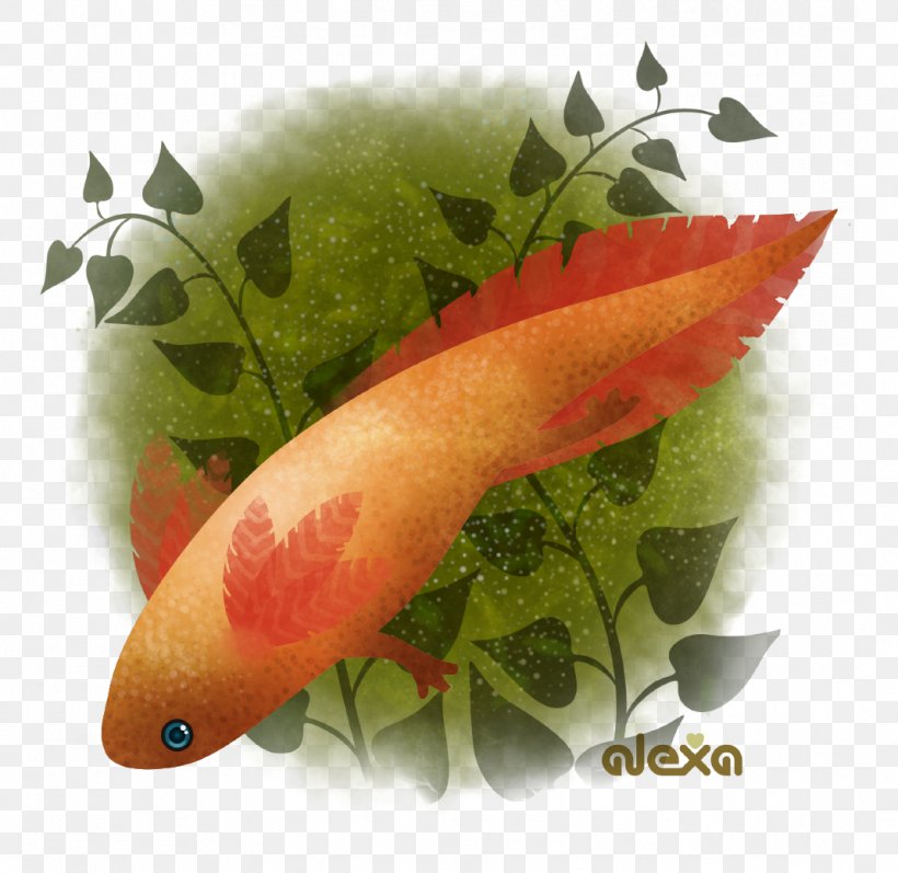 Garnish Vegetable Fruit Fish, PNG, 1071x1042px, Garnish, Fish, Fruit, Vegetable Download Free