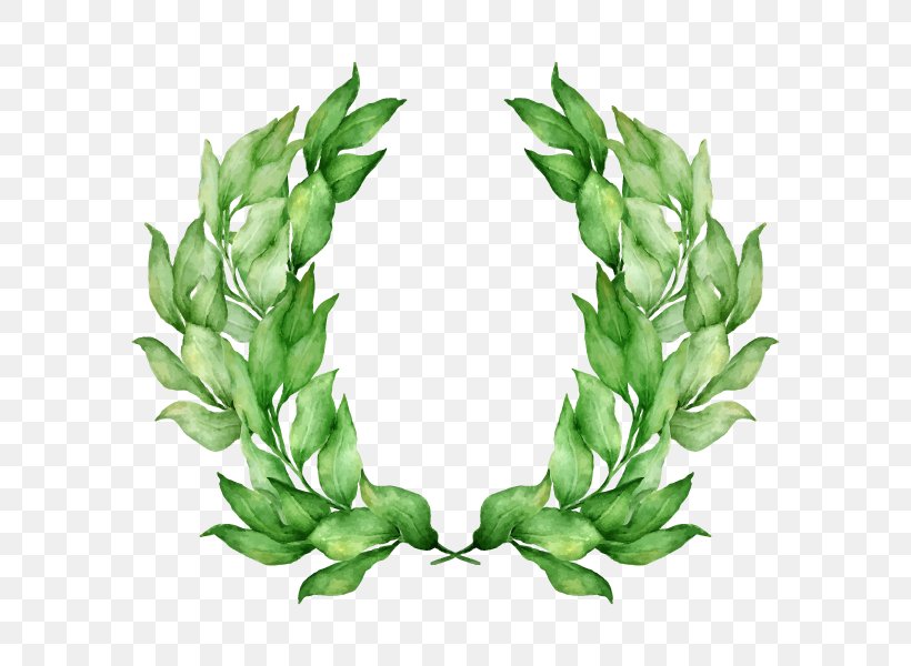 Laurel Wreath Olive Wreath Stock Photography Bay Laurel, PNG, 600x600px, Laurel Wreath, Aquarium Decor, Bay Laurel, Crown, Floral Design Download Free