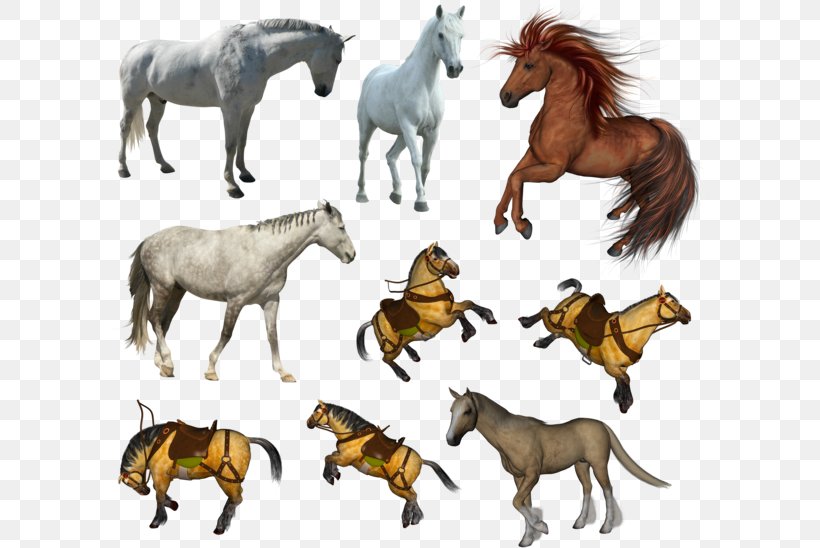 Mustang Pony Stallion Clip Art, PNG, 600x548px, Mustang, Animal Figure, Equus, Fauna, Foal Download Free