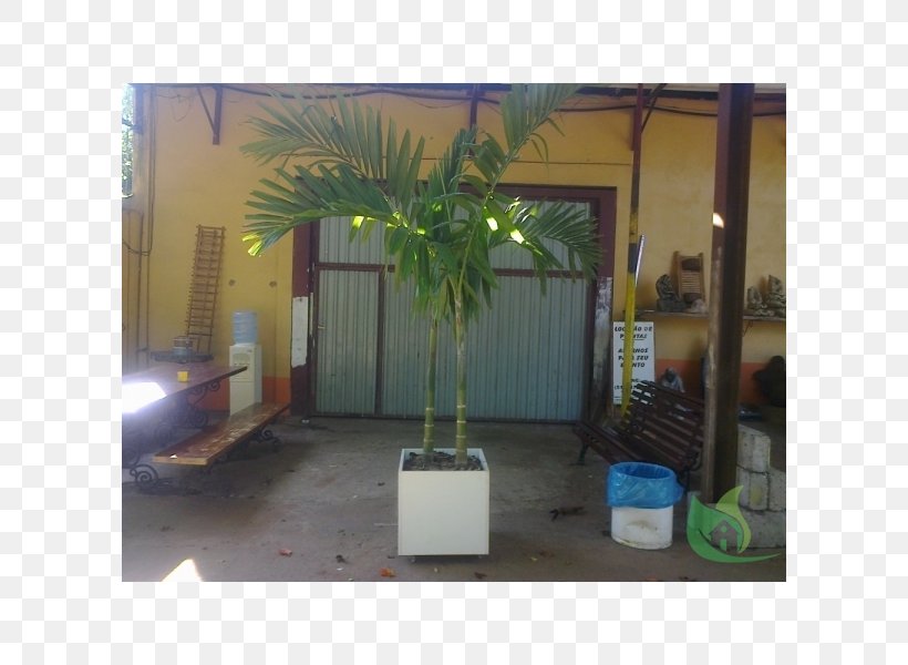 Property Arecales, PNG, 600x600px, Property, Area, Arecales, Outdoor Structure, Plant Download Free