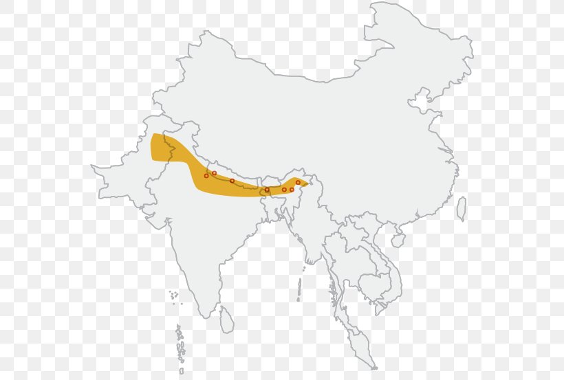 Indian Rhinoceros Map Animal Horn, PNG, 560x553px, Rhinoceros, Animal, Area, Horn, Indian Rhinoceros Download Free