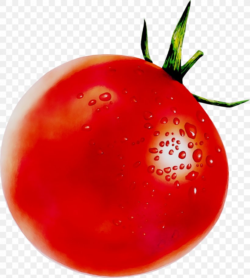 Plum Tomato Royalty-free Image Stock Photography, PNG, 1745x1940px, Plum Tomato, Bush Tomato, Cherry Tomatoes, Drawing, Food Download Free