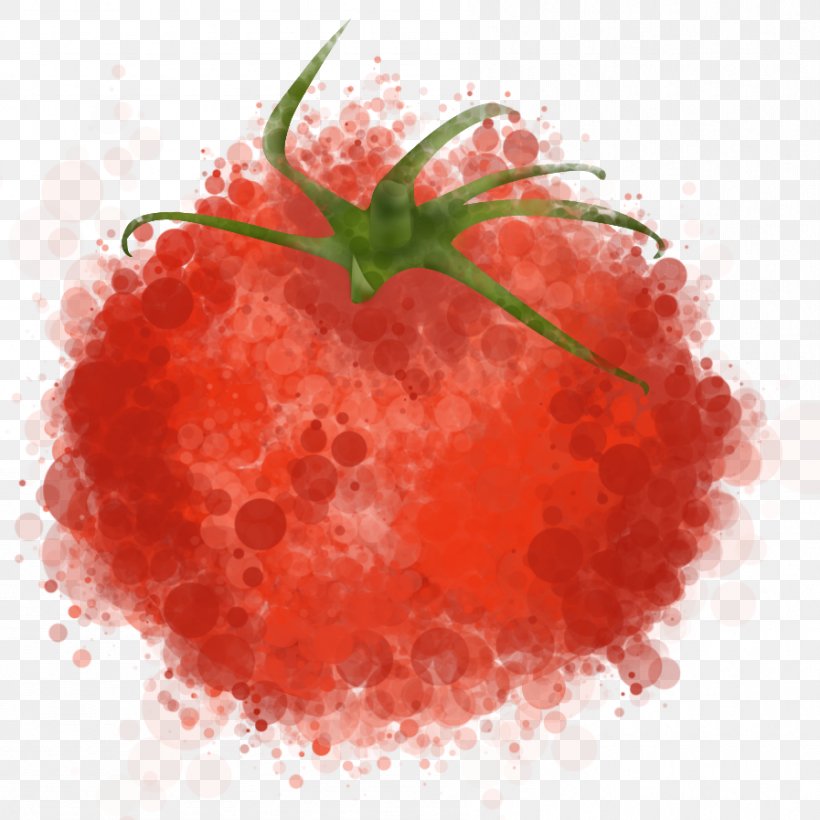 Tomato El Artesano Food Chalk Circle: Intercultural Prizewinning Essays, PNG, 897x897px, Tomato, Berry, Data, Drawing, Food Download Free