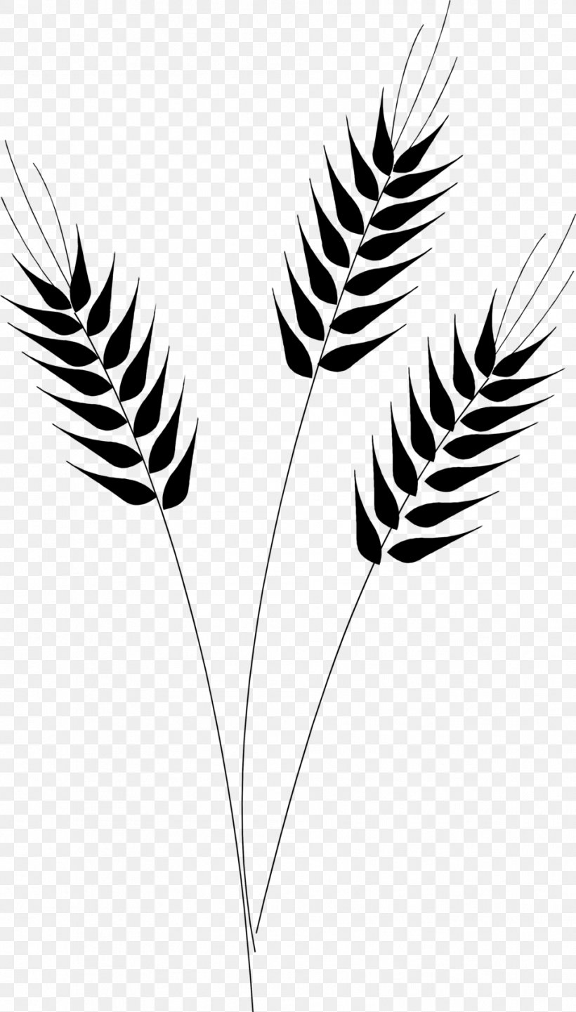 Wheat Desktop Wallpaper Clip Art, PNG, 958x1684px, Wheat, Black And White, Branch, Can Stock Photo, Commodity Download Free