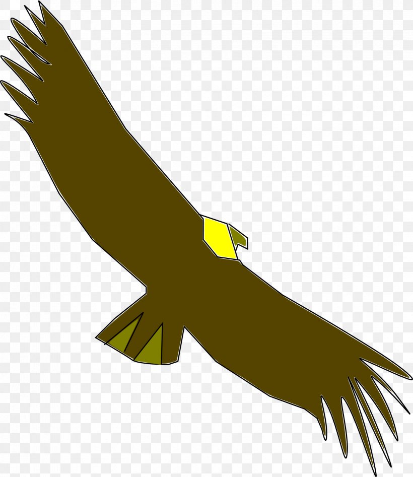 Condor Download Clip Art, PNG, 1662x1920px, Condor, Andean Condor, Beak, Bird, Bird Of Prey Download Free