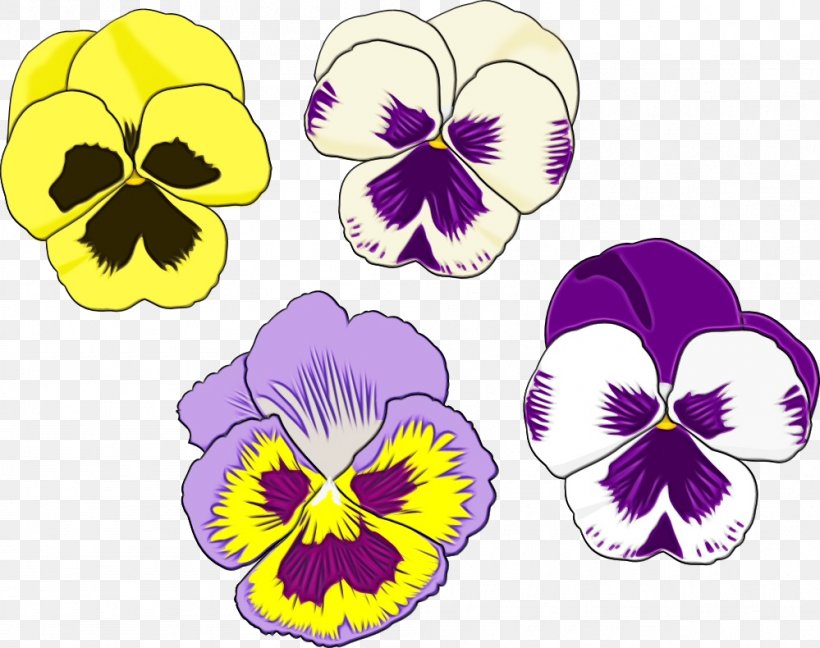 Flower Flowering Plant Wild Pansy Violet Pansy, PNG, 999x790px, Watercolor, Flower, Flowering Plant, Paint, Pansy Download Free