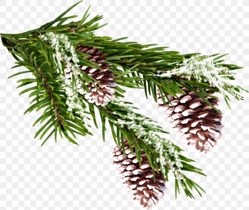 Spruce Pine Clip Art, PNG, 1280x1080px, Spruce, Branch, Christmas Ornament, Conifer, Data Download Free