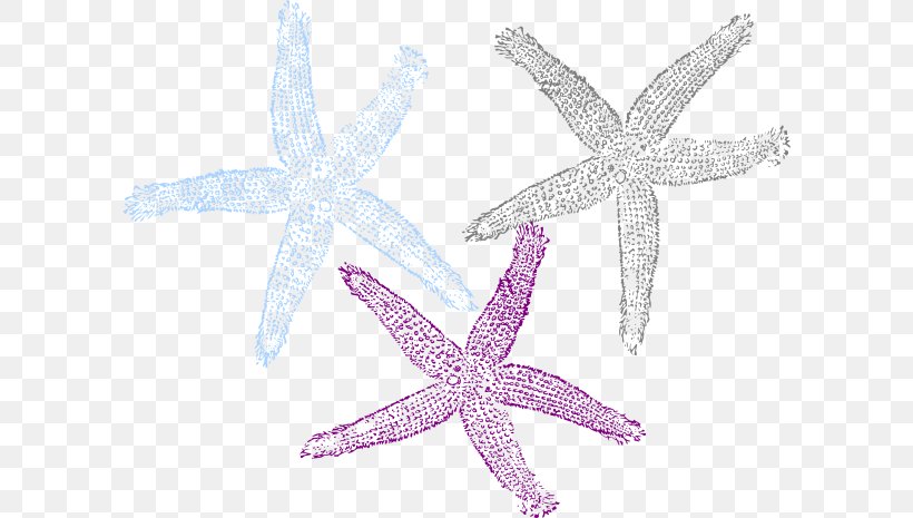 Starfish Clip Art Image Drawing Invertebrate, PNG, 600x465px, Starfish, Animal, Cartoon, Dolphin, Drawing Download Free