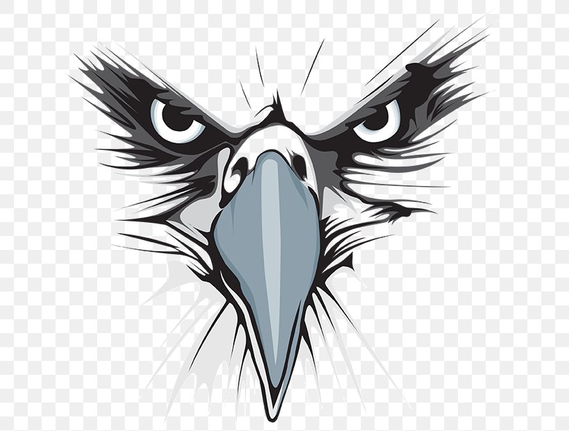 Bald Eagle Logo Graphic Design, PNG, 649x621px, Bald Eagle, Art, Beak, Bird, Black And White Download Free