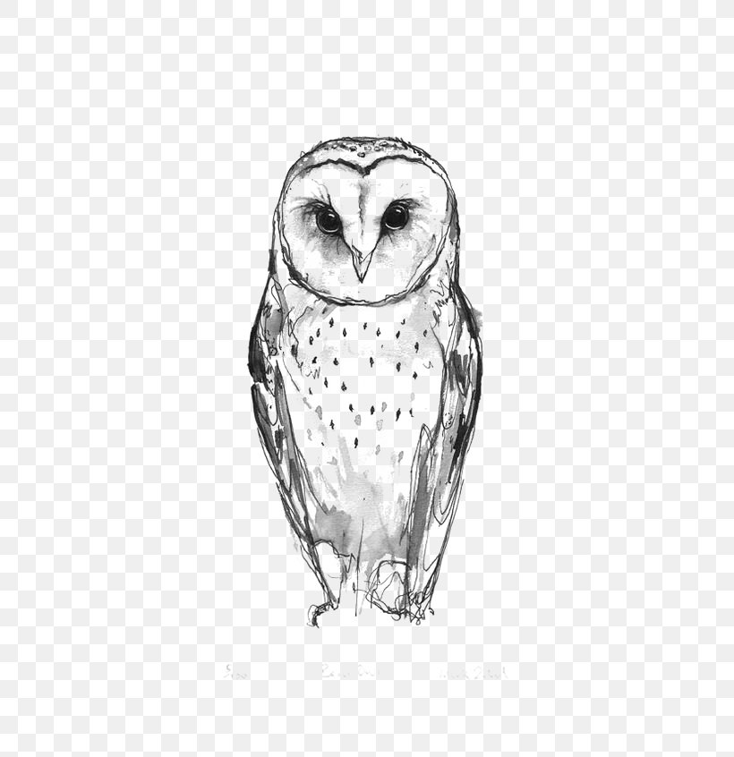 Barn Owl Tattoo Idea Drawing, PNG, 564x846px, Owl, Art, Barn Owl, Beak, Bird Download Free