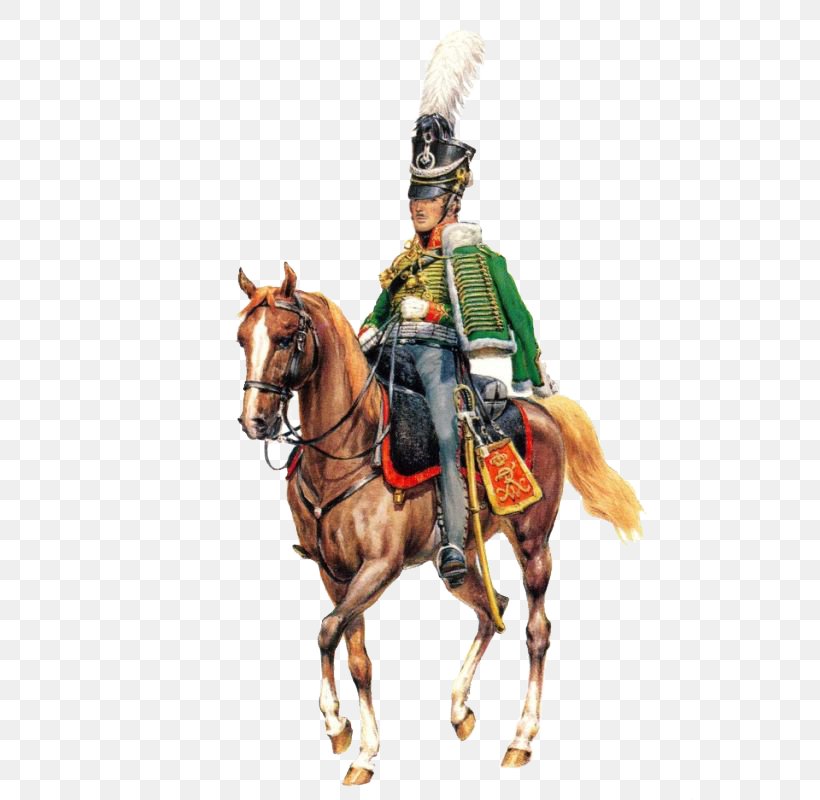 Regiment Hussar Kingdom Of Prussia Cacciatori A Cavallo, PNG, 564x800px, Regiment, Animal Sports, Bridle, Cacciatori A Cavallo, Cavalry Download Free