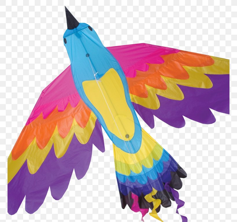 Bird Sport Kite Parrot Macaw, PNG, 768x768px, Bird, Beak, Bird Feeders, Birdofparadise, Common Pet Parakeet Download Free