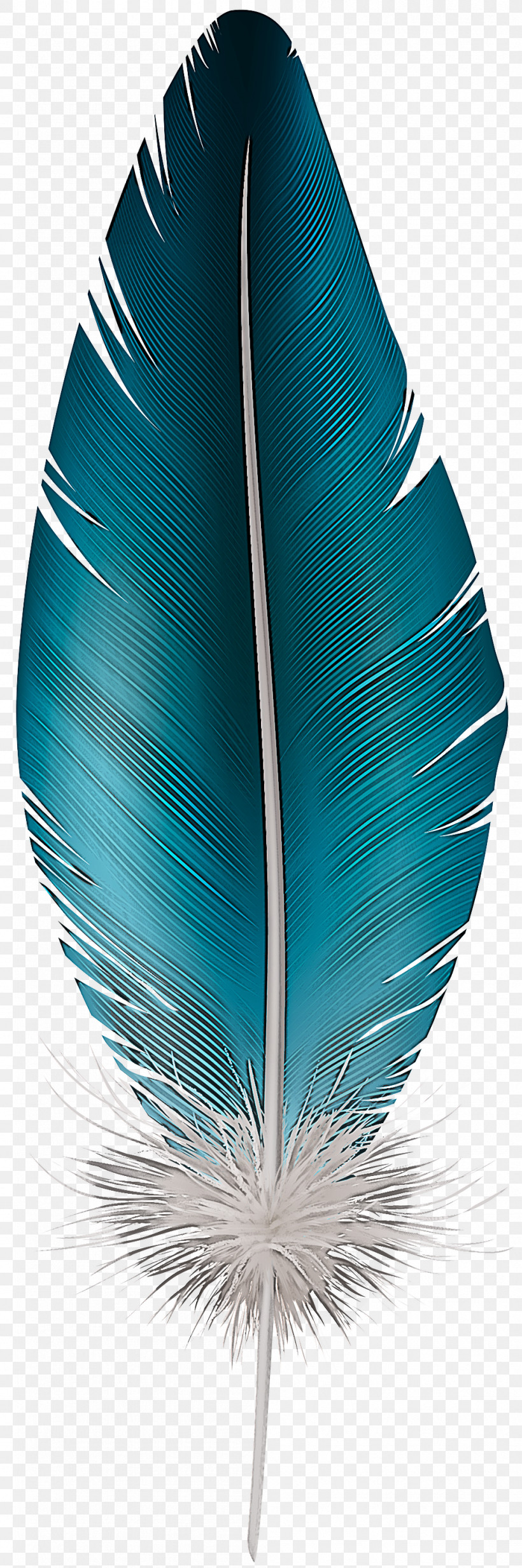 Feather, PNG, 998x3000px, Feather, Blue, Leaf, Natural Material, Quill Download Free