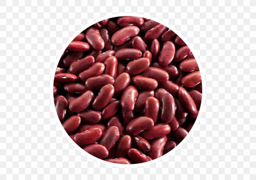 Indian Cuisine Rajma Red Beans And Rice Dal, PNG, 842x595px, India, Azuki Bean, Bean, Cereal, Commodity Download Free