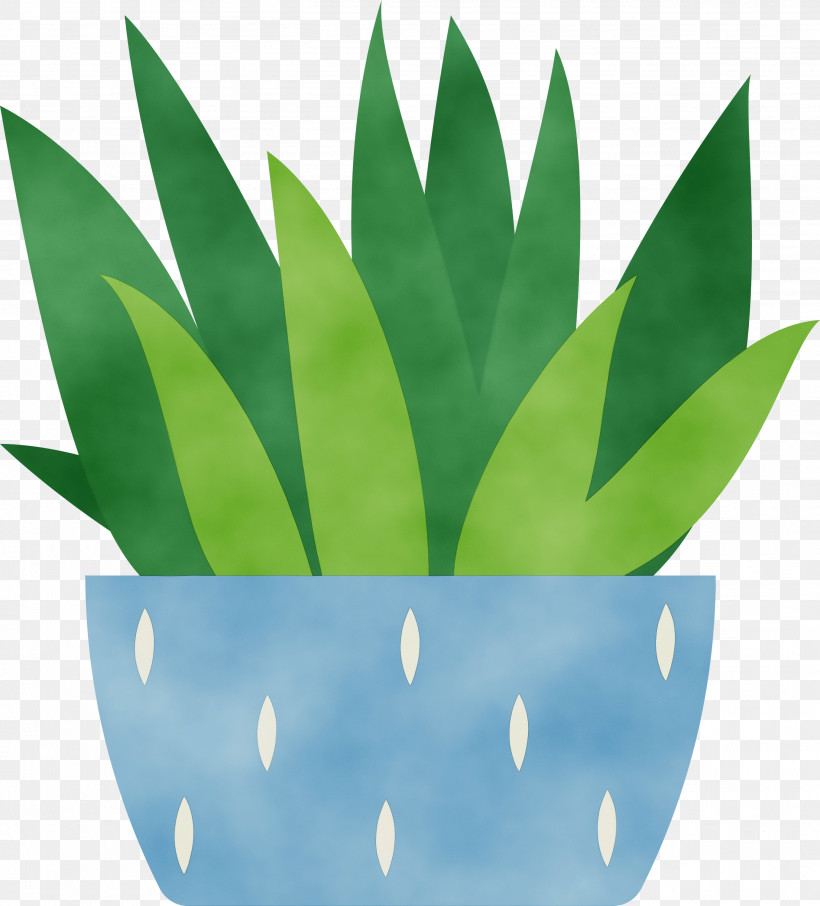 Leaf Green Flowerpot Biology Plants, PNG, 2713x3000px, Watercolor, Biology, Flowerpot, Green, Leaf Download Free