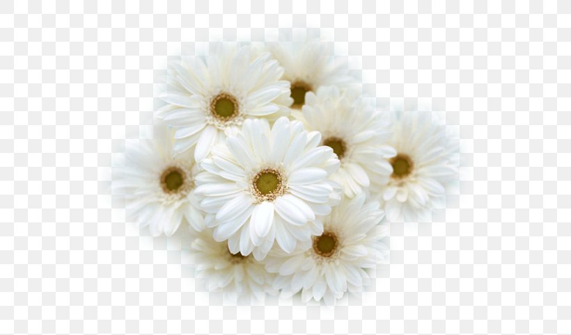 Flower Bouquet White Wedding Dress Cut Flowers, PNG, 600x482px, Flower, Chrysanthemum, Chrysanths, Common Daisy, Cut Flowers Download Free