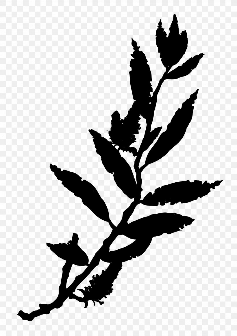Twig Plant Stem Flower Leaf Clip Art, PNG, 2480x3508px, Twig, Blackandwhite, Botany, Branch, Flower Download Free
