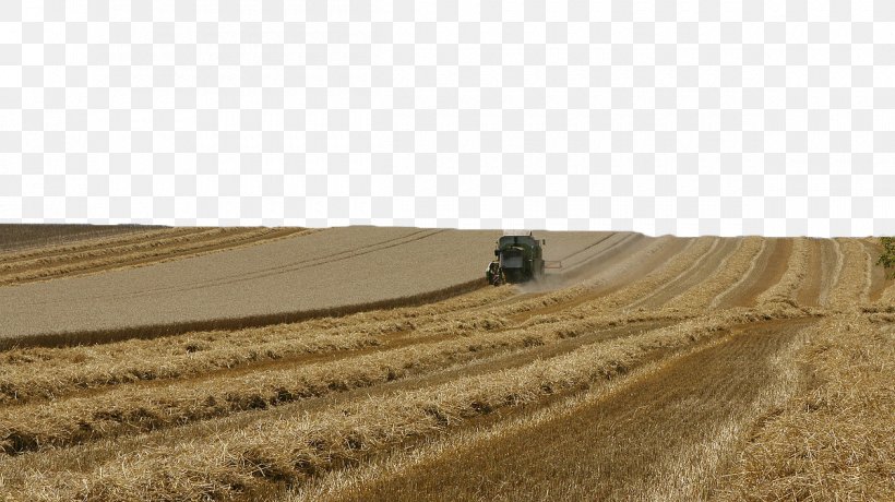 Wheat Agriculture Field Rural Area Harvest, PNG, 1200x674px, Wheat, Agriculture, Cereal, Combine Harvester, Commodity Download Free