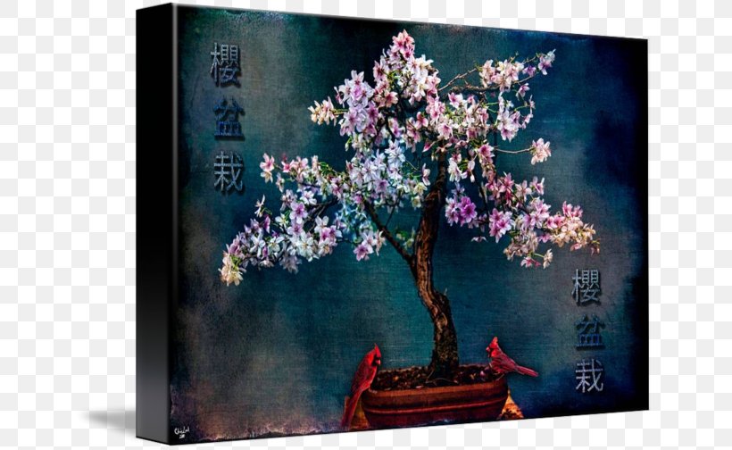 Cherry Blossom Still Life Art Bonsai, PNG, 650x504px, Cherry Blossom, Art, Blossom, Bonsai, Branch Download Free