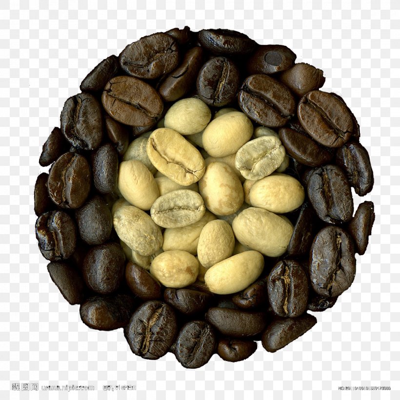 Coffee Latte Art Green Tea Drink, PNG, 1240x1240px, Coffee, Bebida Estimulante, Coffea, Coffee Bean, Coffee Club Download Free
