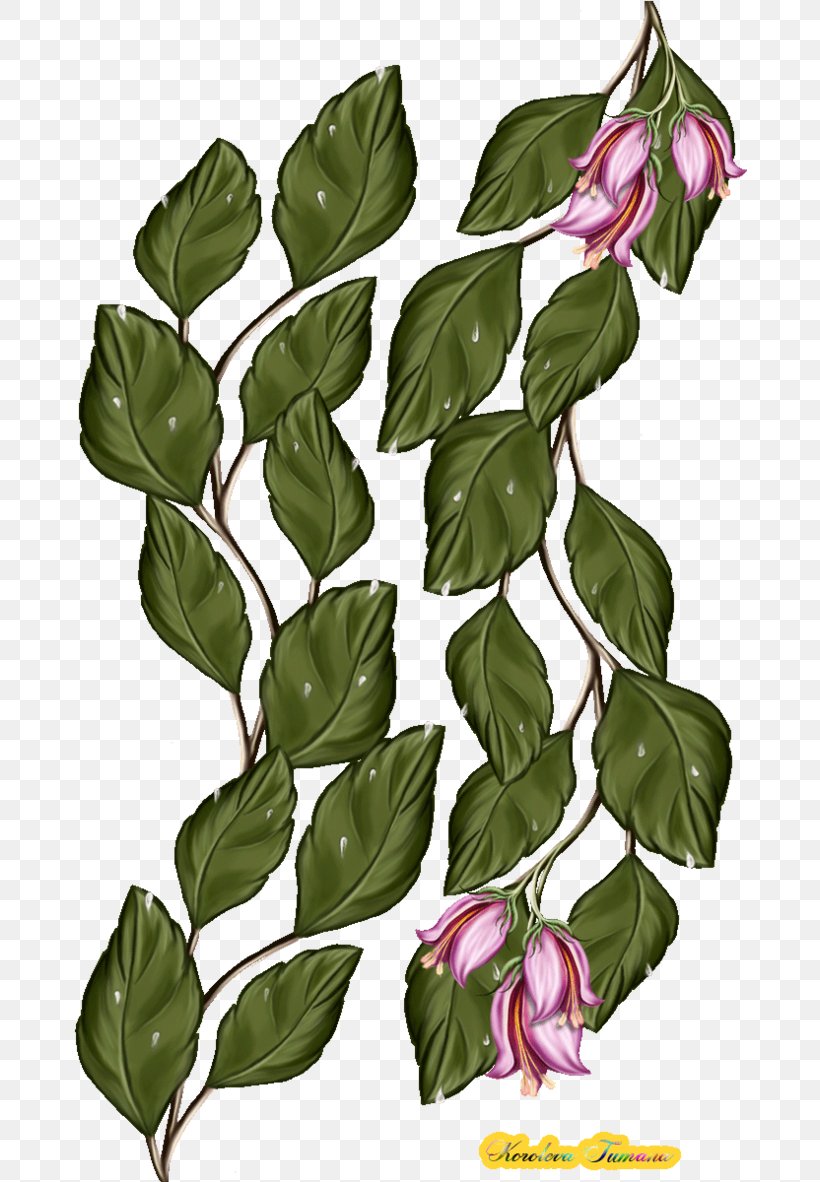 Flower Plant Stem Leaf, PNG, 675x1182px, Flower, Banner, Branch, Flowering Plant, Hyperlink Download Free