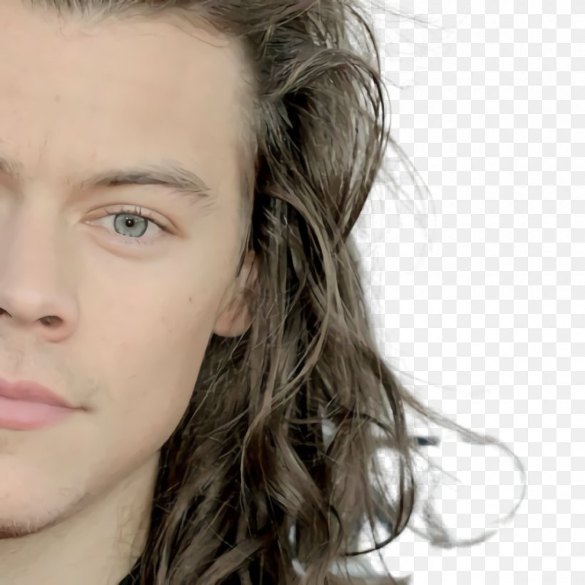 Hair Cartoon, PNG, 1000x1000px, Harry Styles, Beauty, Black Hair, Blond, Brown Download Free