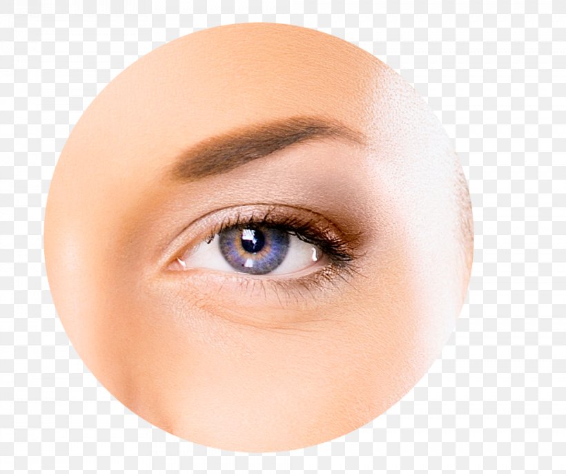 Human Eye Diagram Eye Pattern Visual Perception, PNG, 984x824px, Eye, Anatomy, Beauty, Chart, Cheek Download Free