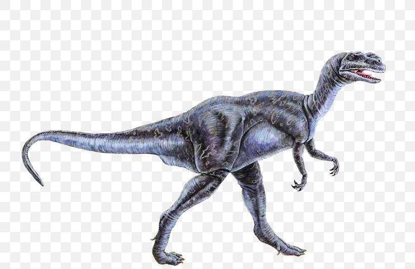 Velociraptor Tyrannosaurus Dinosaur Fossils Stegosaurus, PNG, 800x533px, Watercolor, Cartoon, Flower, Frame, Heart Download Free