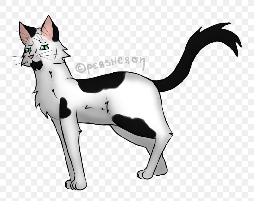 Whiskers Domestic Short-haired Cat Paw Character, PNG, 800x650px, Whiskers, Black And White, Carnivoran, Cat, Cat Like Mammal Download Free