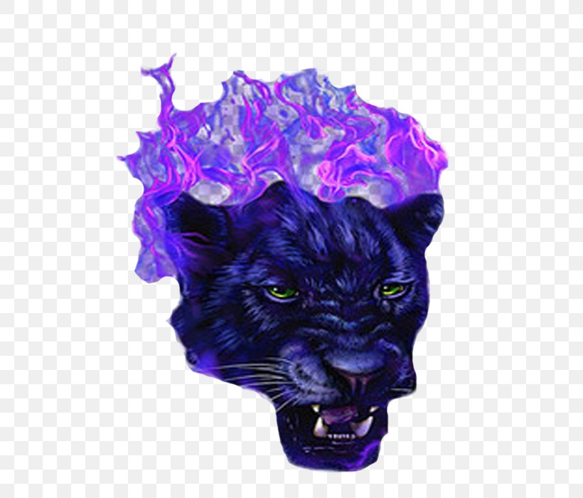 Black Panther Tiger Purple Violet, PNG, 700x700px, Black Panther, Animal, Big Cat, Big Cats, Blue Download Free