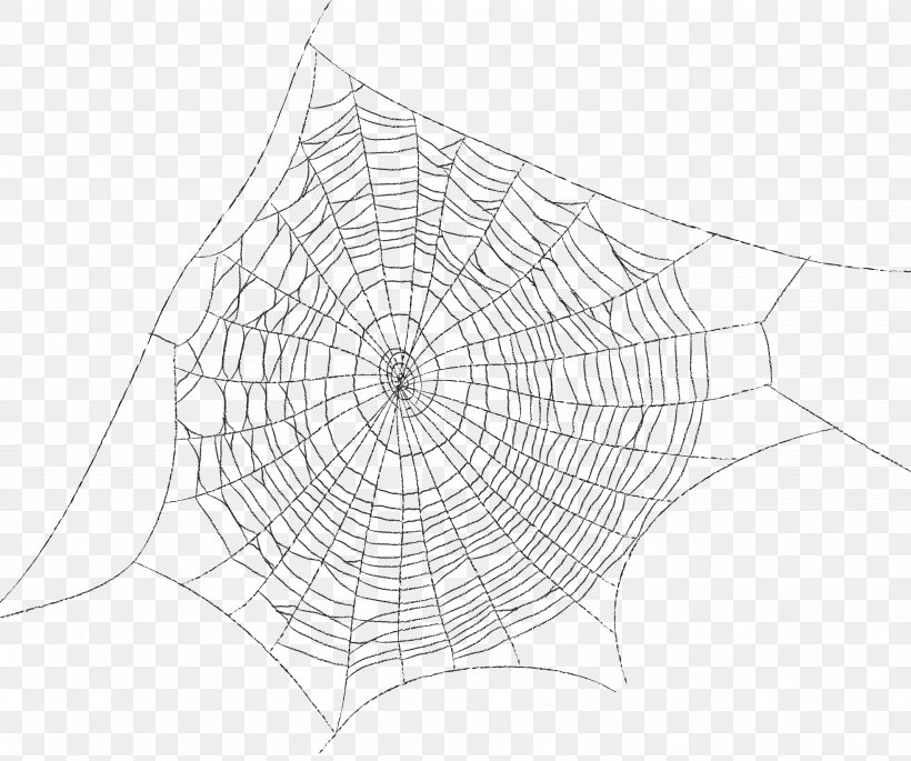 Spider Web Spider Silk Clip Art, PNG, 3600x3011px, Spider Web, Area, Black, Black And White, Data Download Free