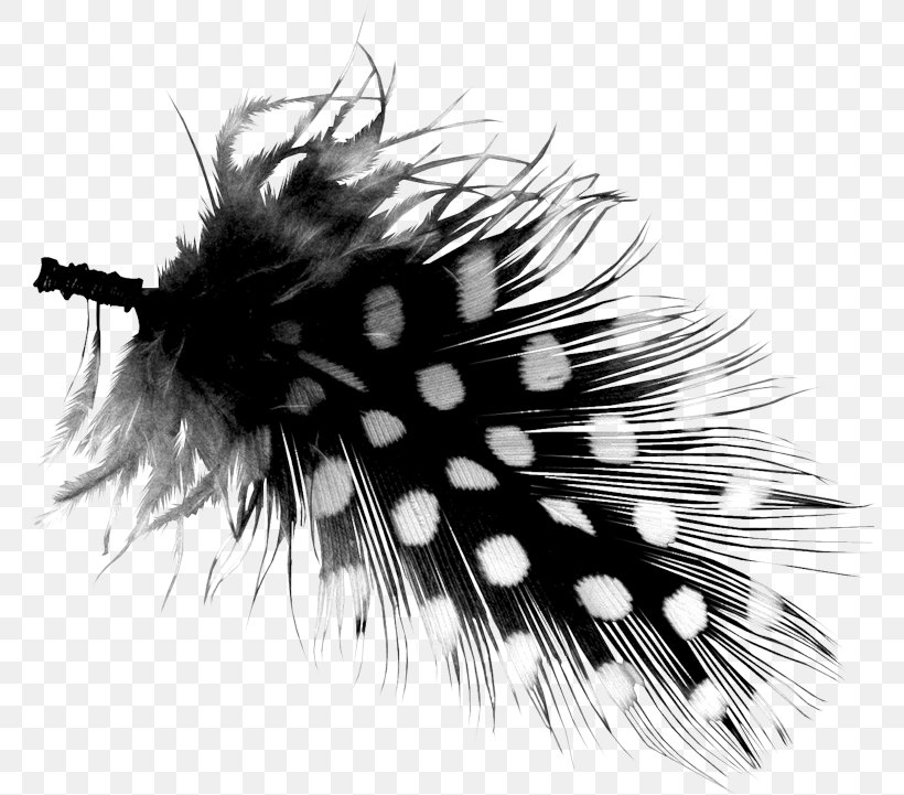 Download Clip Art, PNG, 770x721px, Feather, Black, Black And White, Computer Software, Insect Download Free