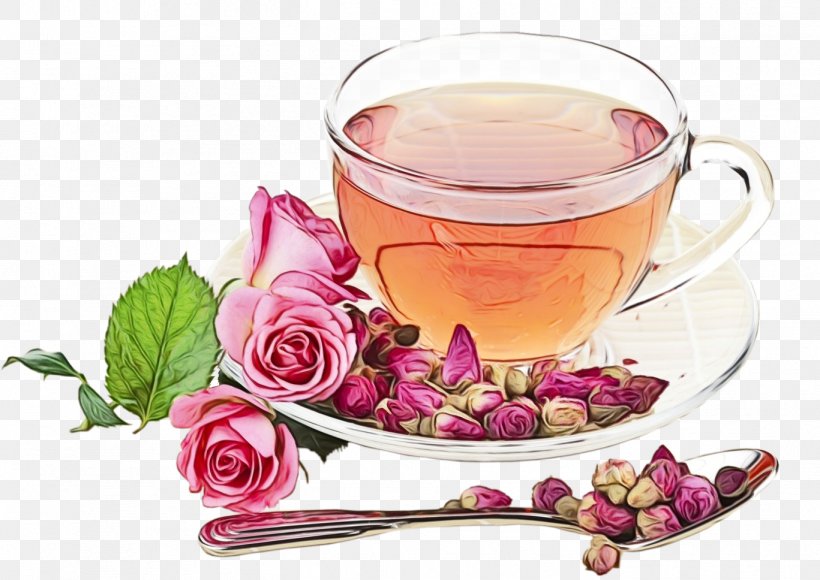 Drink Plant Flower Chinese Herb Tea Teacup, PNG, 1367x968px, Watercolor, Chinese Herb Tea, Drink, Flower, Herbaceous Plant Download Free