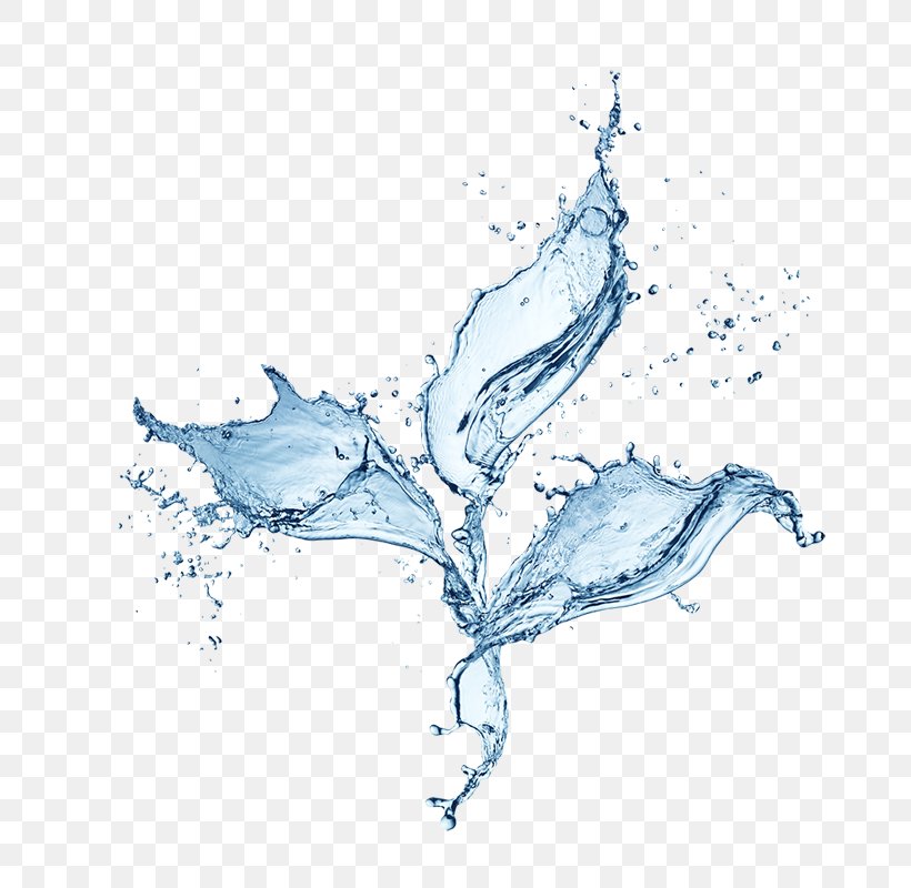 Water Drop Splash, PNG, 800x800px, Water, Art, Branch, Drop, Hydrosphere Download Free