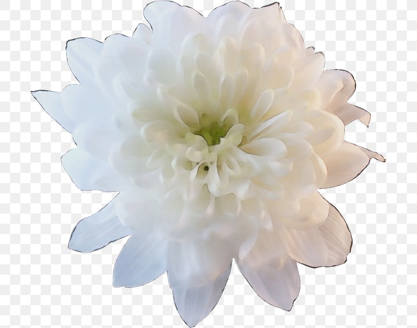 Artificial Flower, PNG, 699x645px, Watercolor, Artificial Flower, Cut Flowers, Dahlia, Flower Download Free