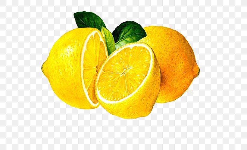 Clementine Lemon Mandarin Orange Lime, PNG, 600x500px, Clementine, Bitter Orange, Citric Acid, Citron, Citrus Download Free