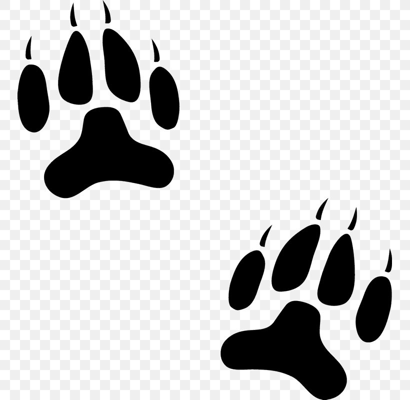 Dog Paw Cat Animal Track Clip Art, PNG, 749x800px, Dog, Animal, Animal Track, Black, Black And White Download Free