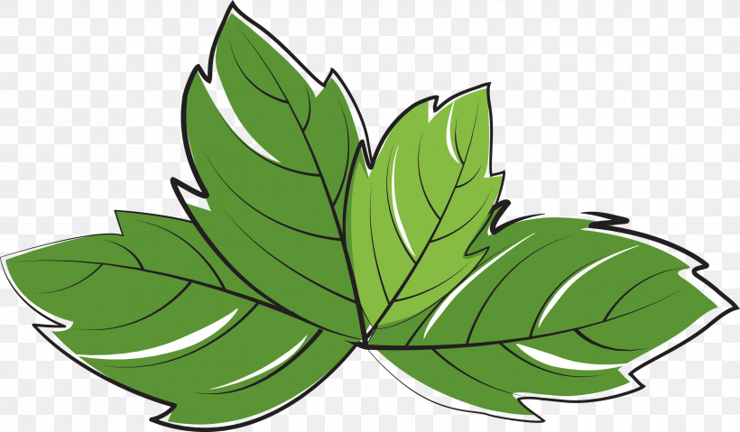 Leaf Plant Stem Flower Green M-tree, PNG, 2999x1755px, Leaf, Biology, Flower, Green, Mtree Download Free