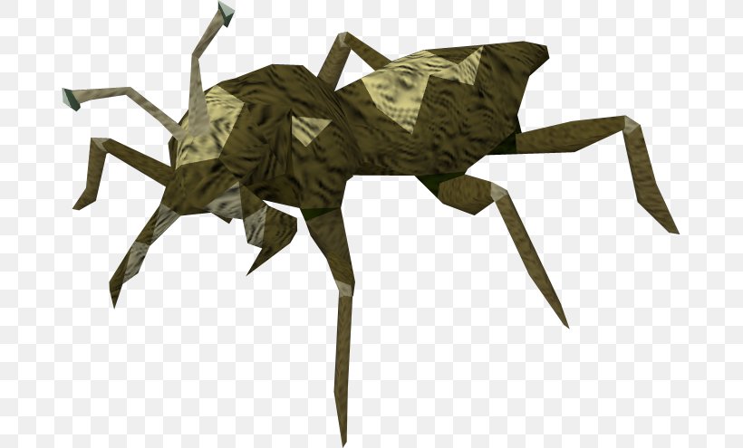 Beetle RuneScape Bed Bug Wikia Cave, PNG, 683x495px, Beetle, Animal, Arthropod, Bed Bug, Cave Download Free