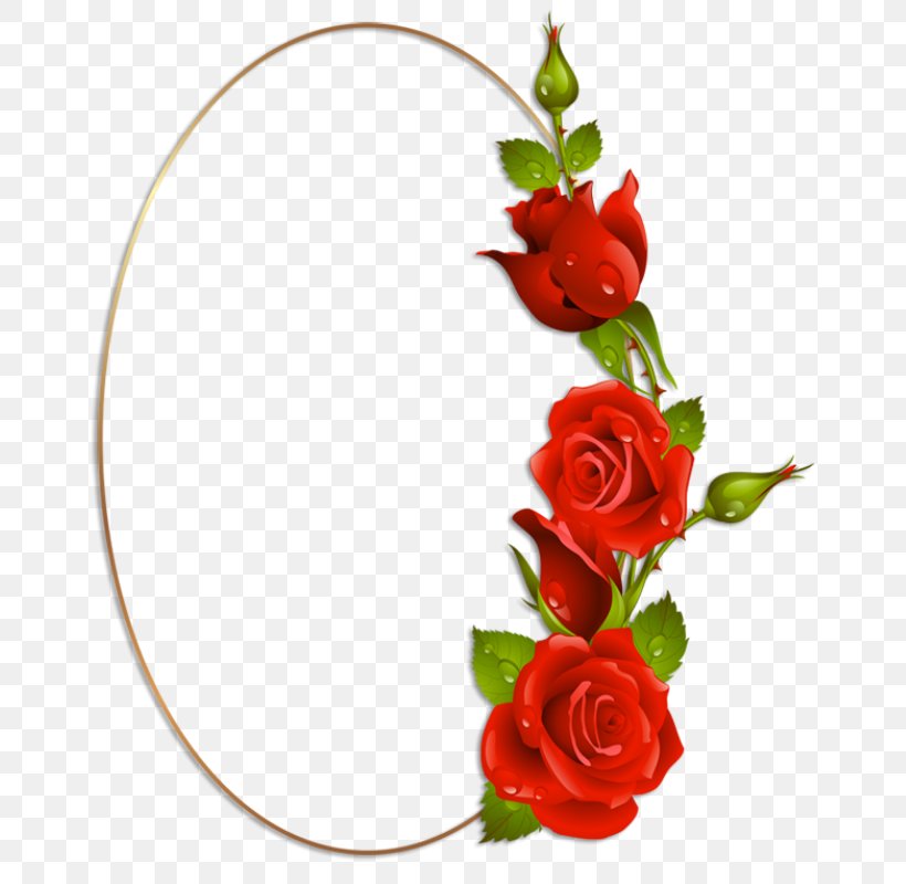 Garden Roses Red Drawing, PNG, 681x800px, Garden Roses, Artificial Flower, Cut Flowers, Drawing, Floral Design Download Free