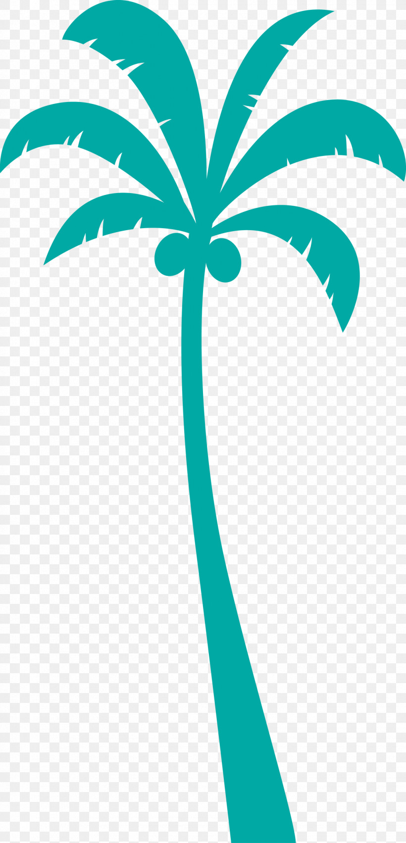 Palm Trees, PNG, 1444x3000px, Palm Tree, Area, Beach, Biology, Cartoon Tree Download Free
