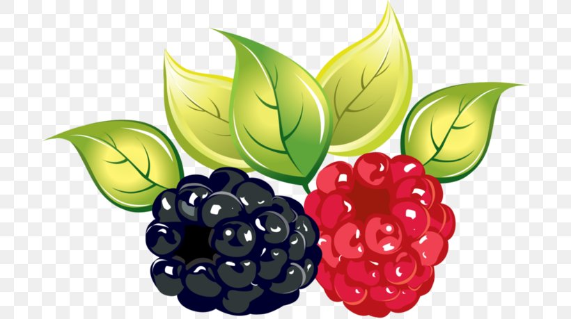 Raspberry Blackberry Download, PNG, 699x459px, Berry, Auglis, Blackberry, Food, Fruit Download Free