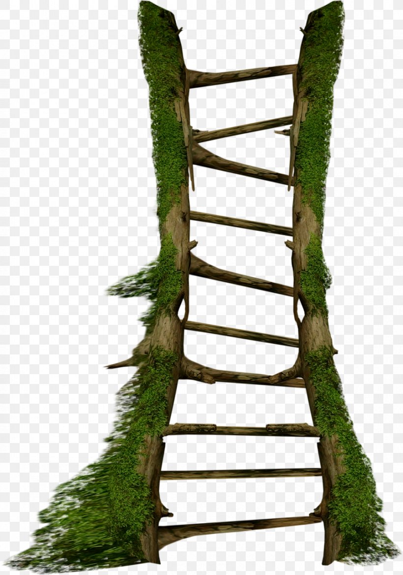 Stairs Ladder /m/083vt Clip Art, PNG, 898x1280px, Stairs, Branch, Christmas, Garden, Grass Download Free