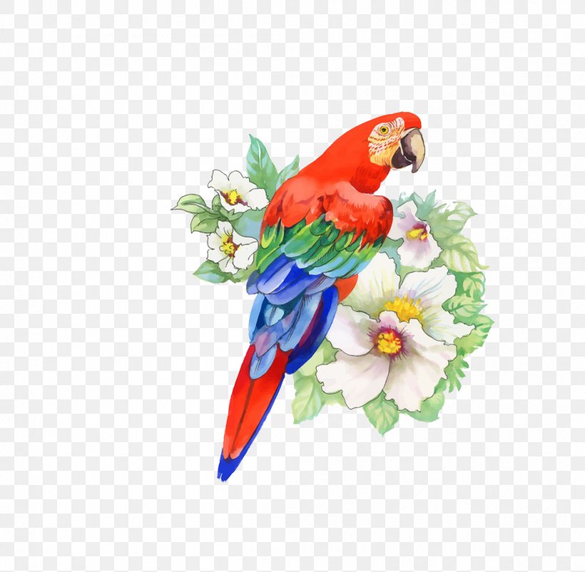 Bird Parrot Flower Drawing, PNG, 1055x1033px, Bird, Art, Beak, Birdandflower Painting, Drawing Download Free