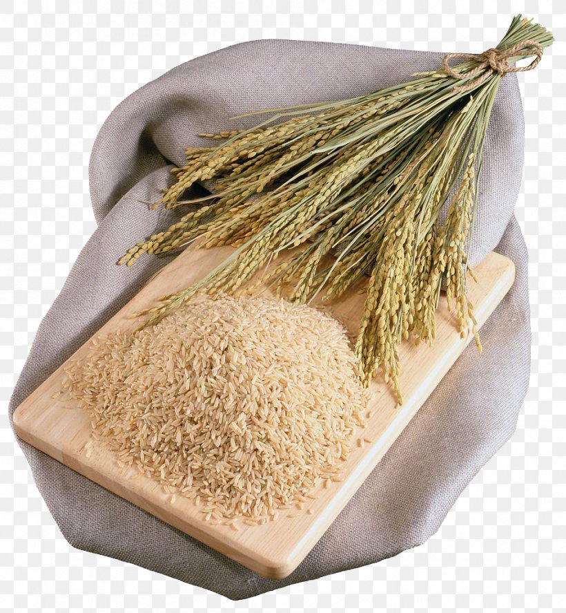 Brown Rice Oryza Sativa Food, PNG, 946x1024px, Rice, Brown Rice, Caryopsis, Cereal, Cereal Germ Download Free