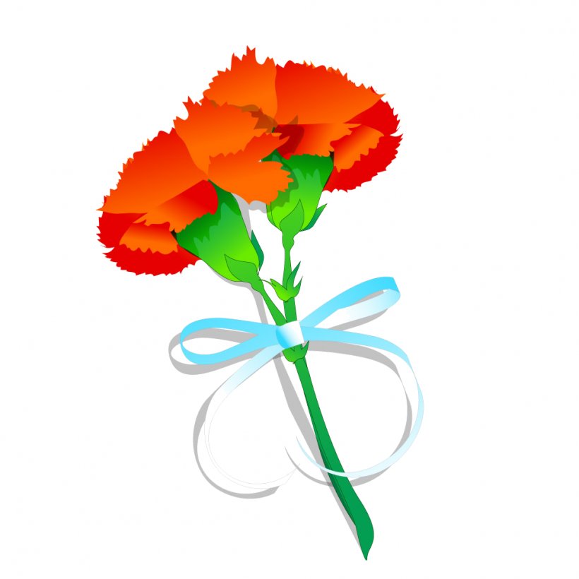Carnation Cut Flowers Clip Art, PNG, 1001x1001px, Carnation, Annual Plant, Cut Flowers, Flora, Floral Design Download Free