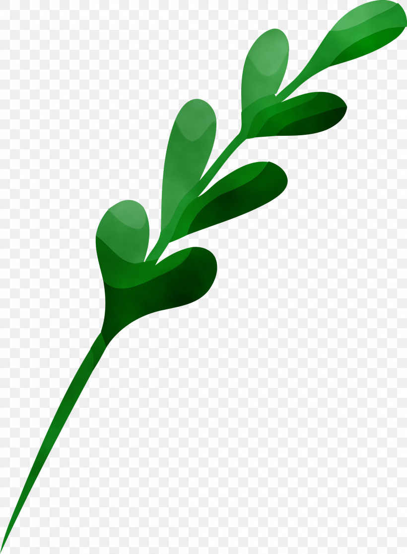 Green Leaf Plant Flower Pedicel, PNG, 2206x2999px, Christmas Ornament, Flower, Grass, Green, Leaf Download Free